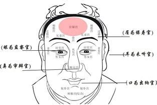 人中長 面相|閱人三十六術之人中